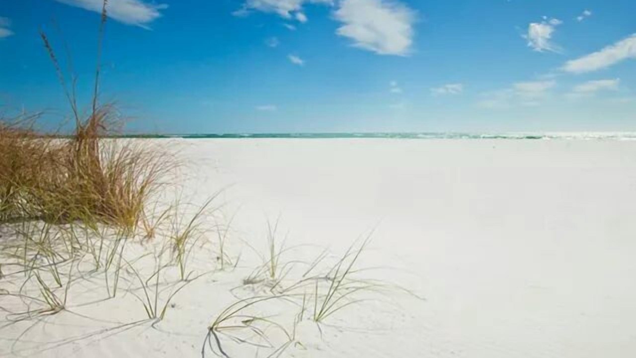 Photo of Others in Navarre Beach