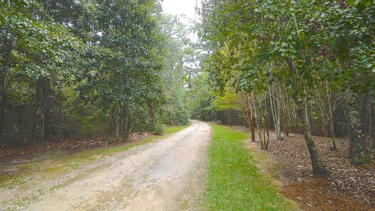 Photo of Outdoor in Point Clear