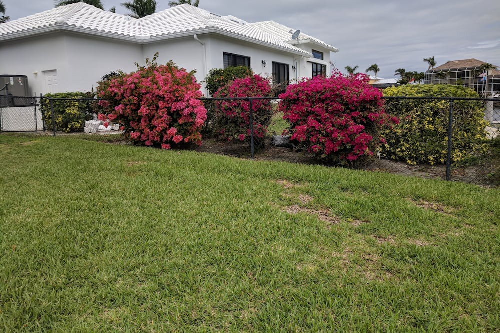 Photo of Outdoor in Marco Island