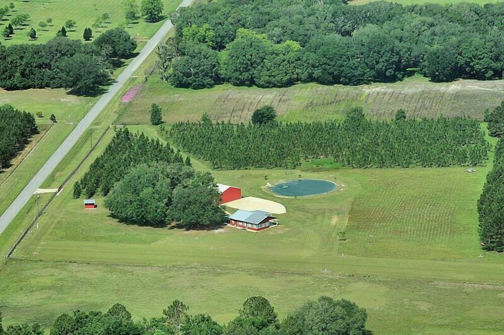 Photo of Others in Boys Ranch
