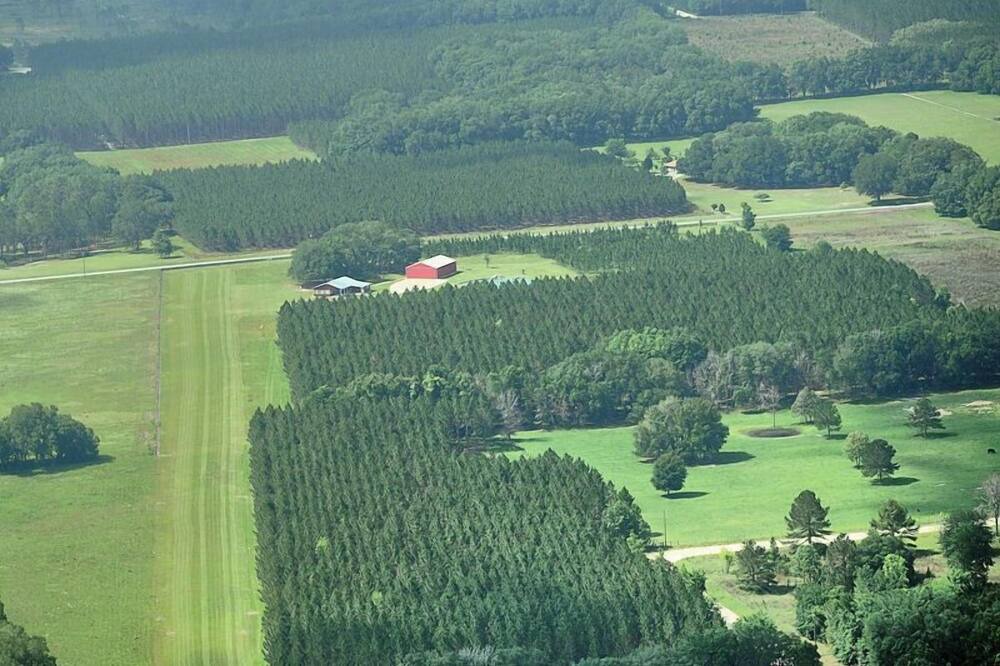 Photo of Others in Boys Ranch