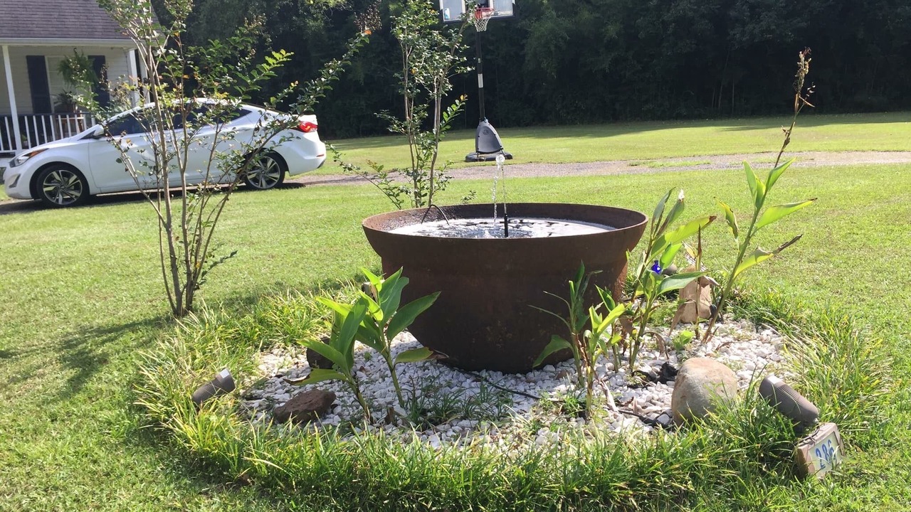 Photo of Outdoor in Picayune