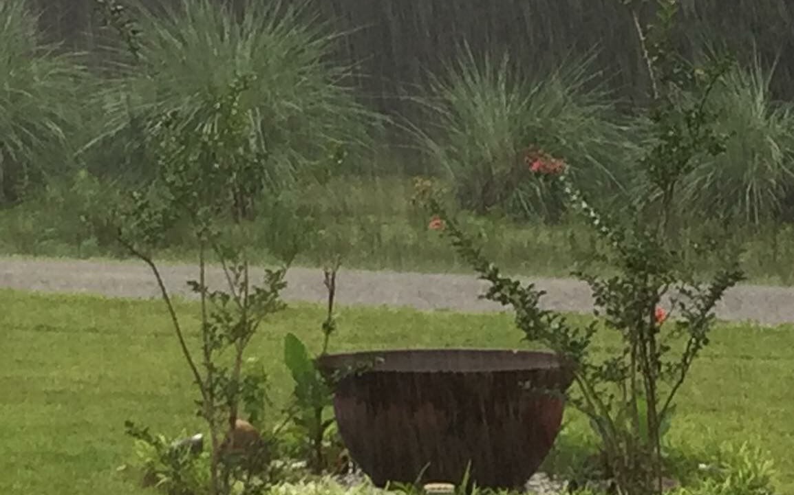 Photo of Outdoor in Picayune