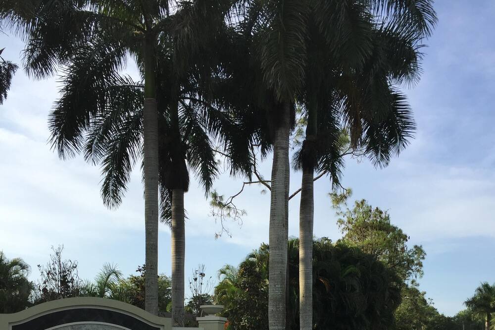 Photo of Outdoor in Kings Lake