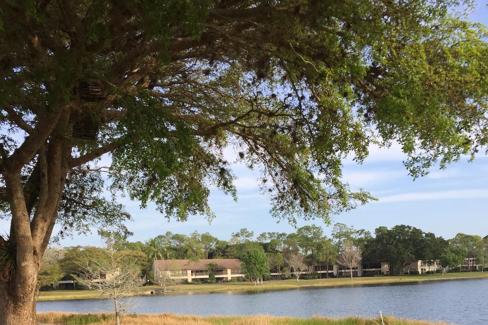 Photo of Outdoor in Kings Lake