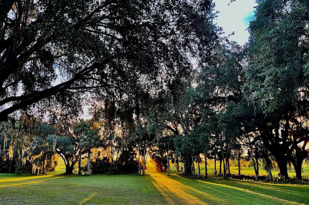 Photo of Others in Micanopy
