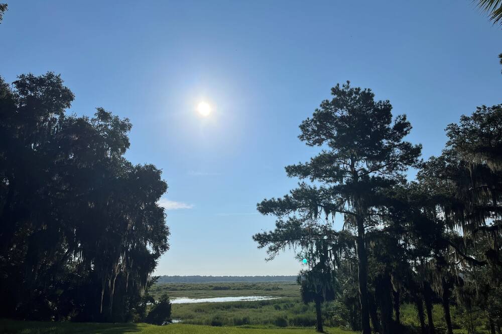 Photo of Others in Micanopy