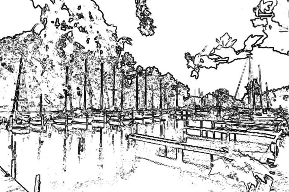 Photo of Others in Mandeville