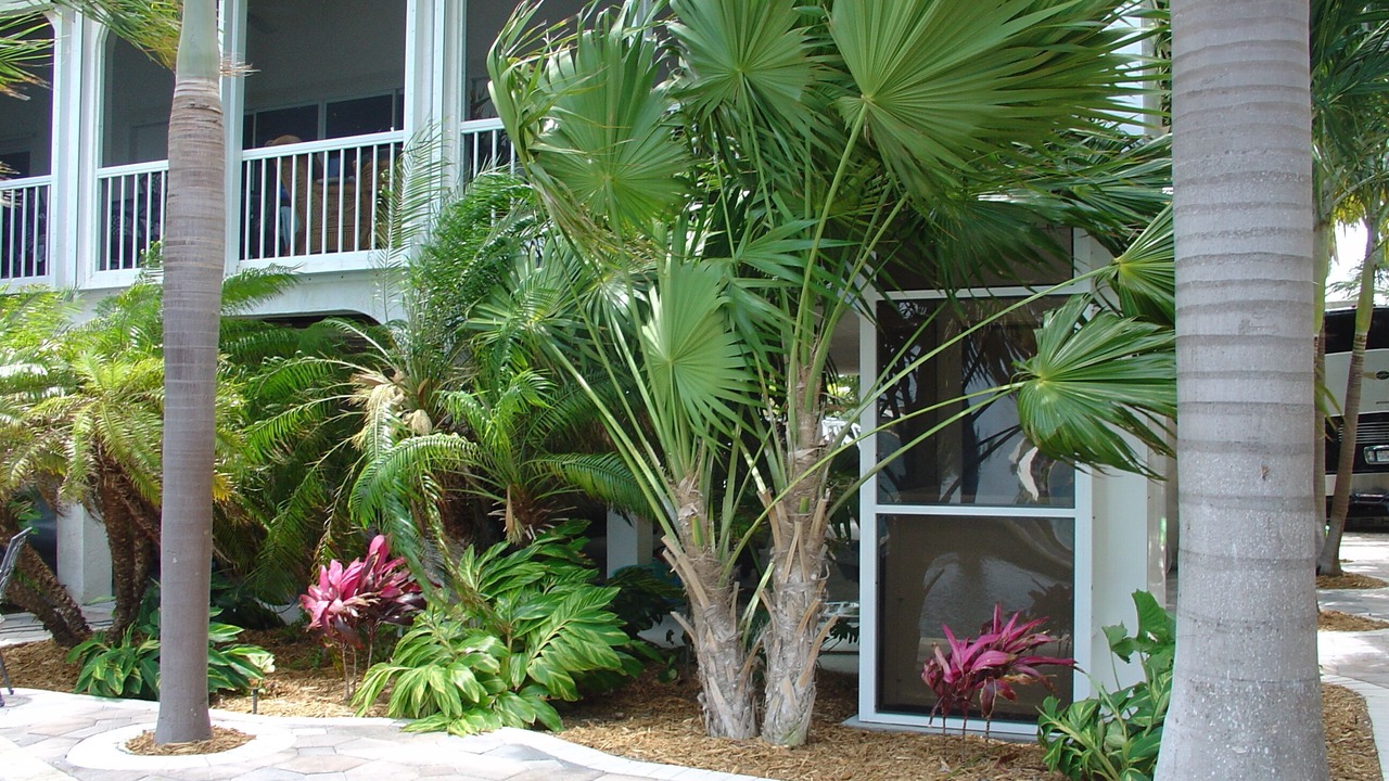 Photo of Outdoor in Sugarloaf Shores