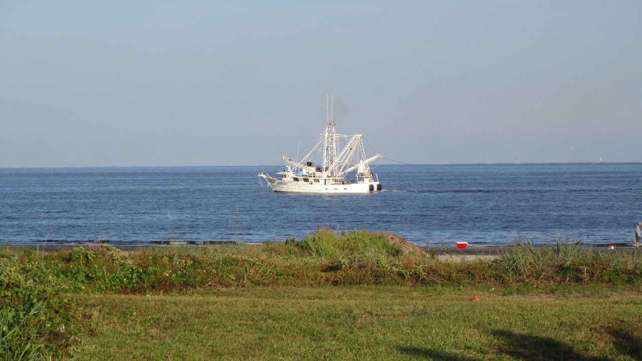 Photo of Others in Grand Isle
