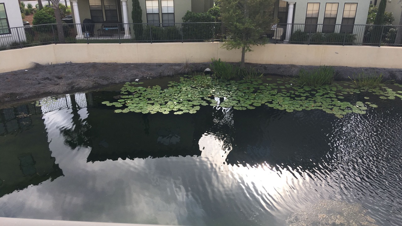 Photo of Outdoor in Villa Lago