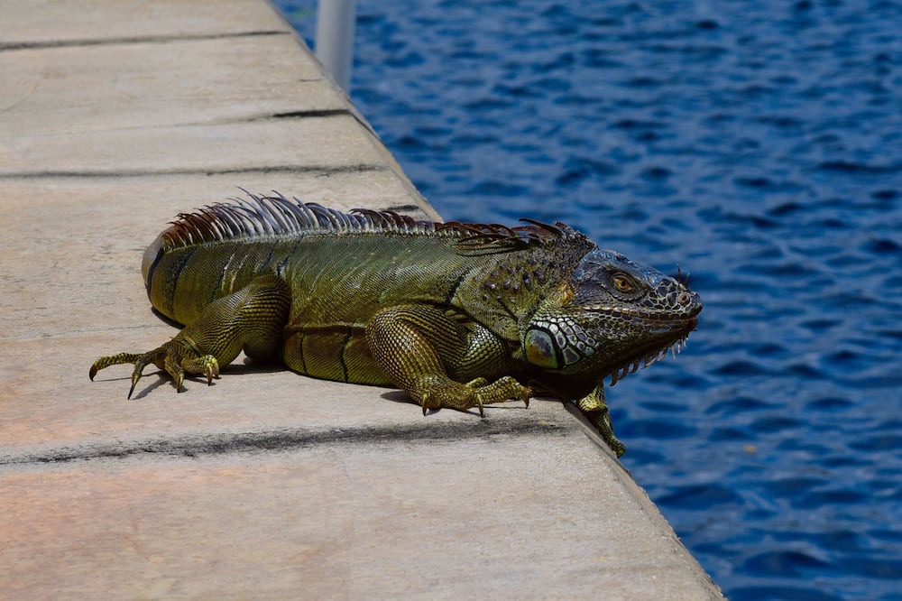 Photo of Others in Clewiston