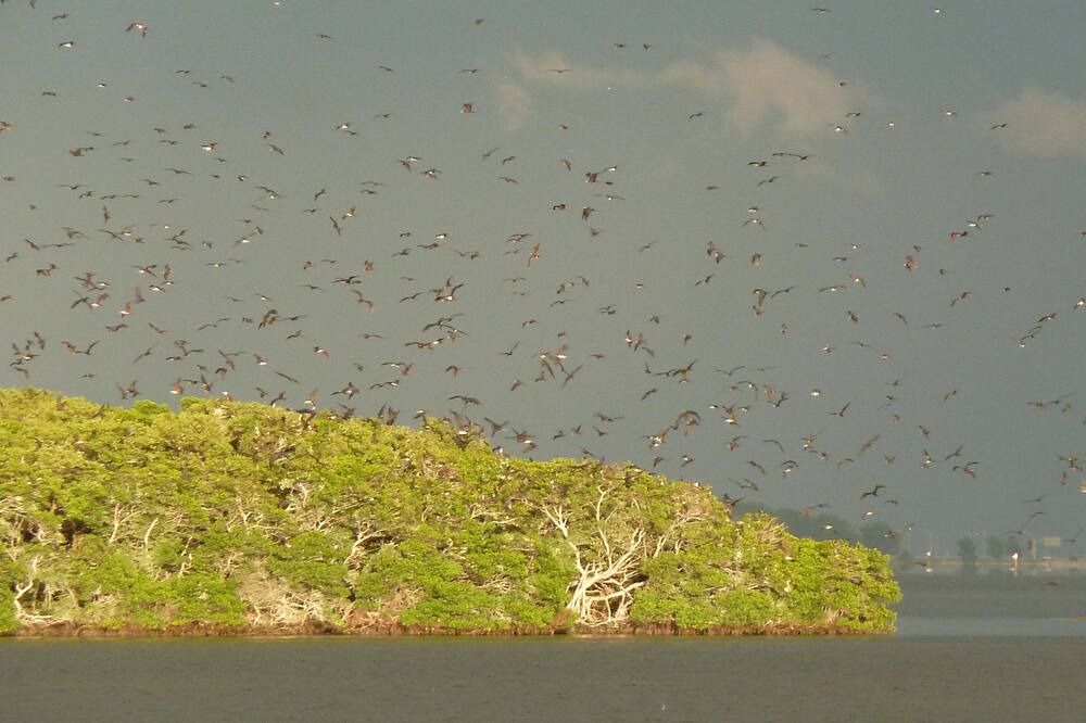Photo of Others in Tierra Verde