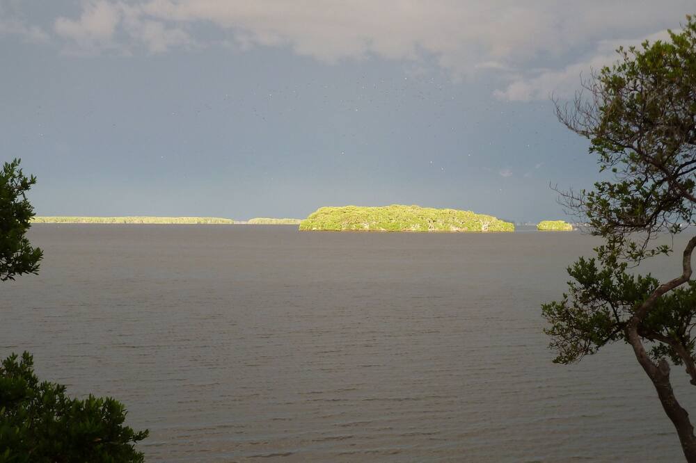 Photo of Outdoor in Tierra Verde