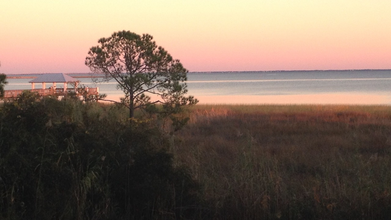 Photo of Others in Apalachicola