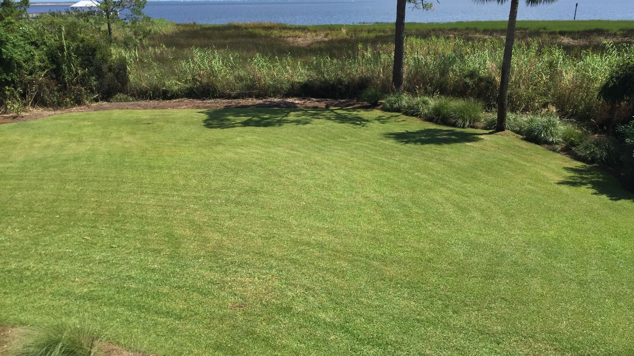 Photo of Outdoor in Apalachicola
