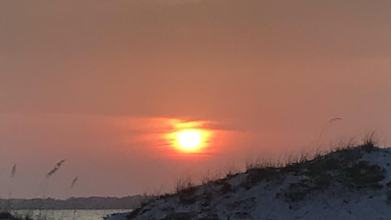 Photo of Others in Navarre Beach