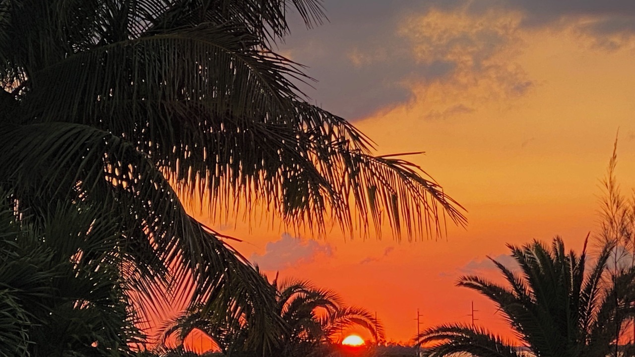 Photo of Outdoor in Key West