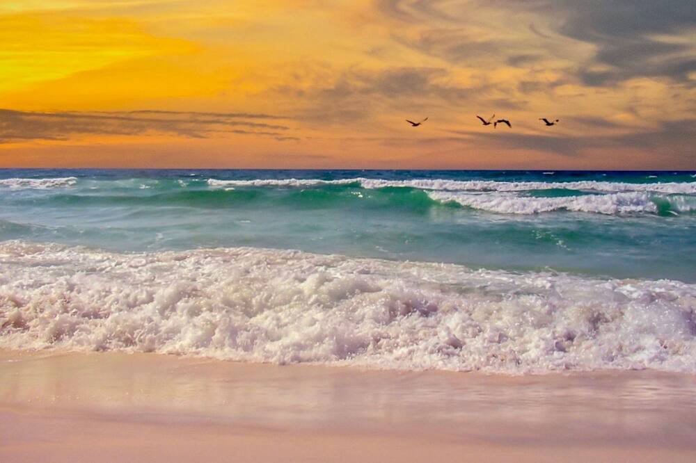 Photo of Others in Navarre Beach