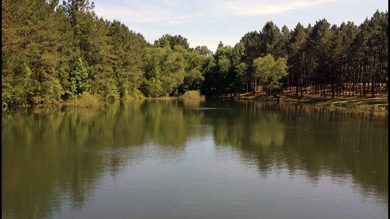 Photo of Outdoor in Nacogdoches