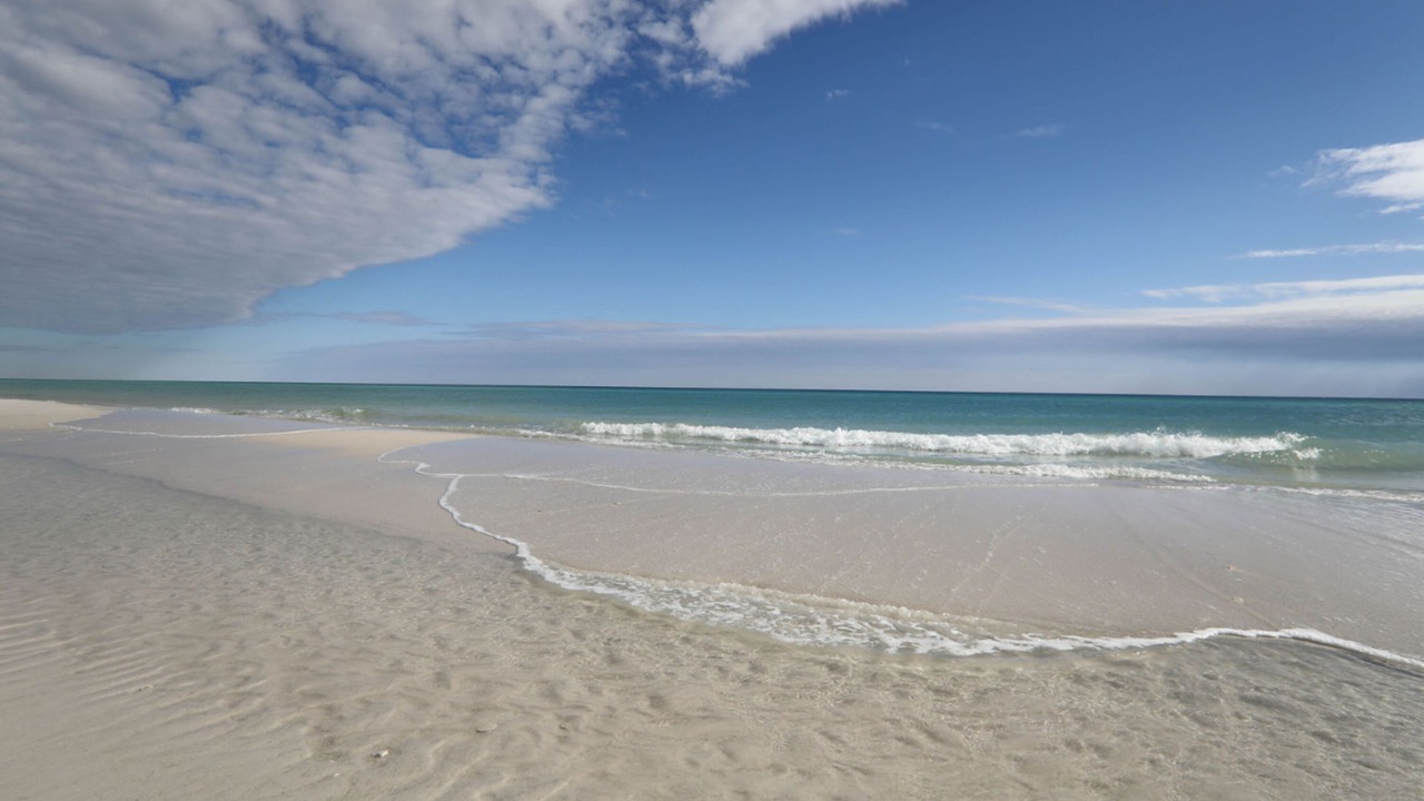 Photo of Others in Pensacola Beach
