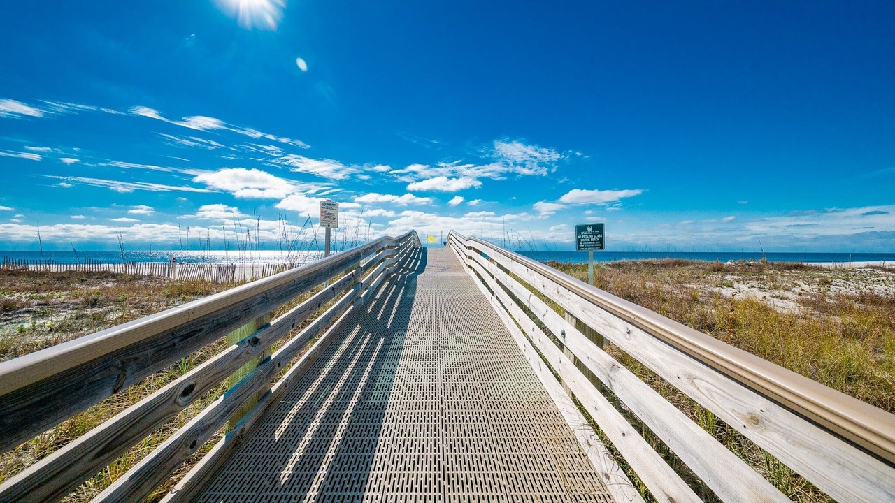Photo of Others in Orange Beach East
