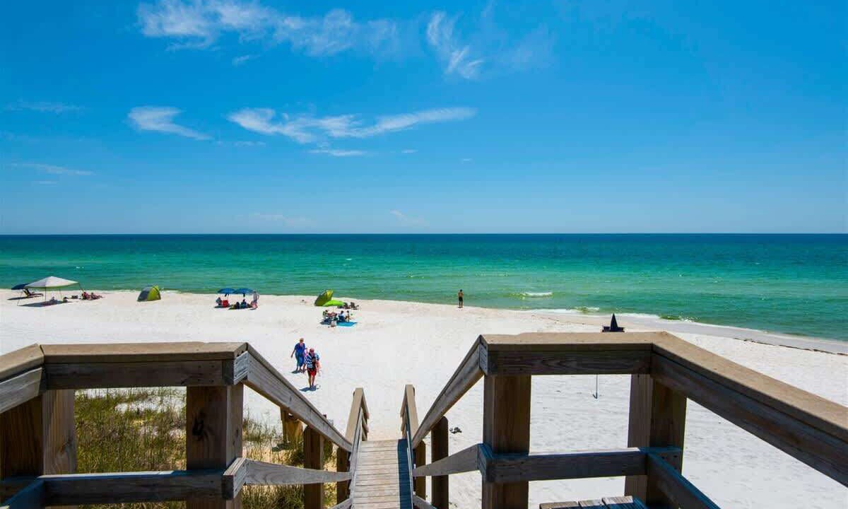 Photo of Others in White's Gulfview