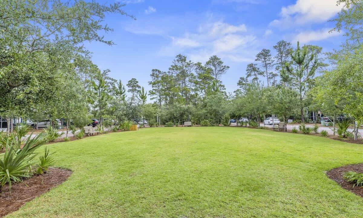 Photo of Outdoor in White's Gulfview