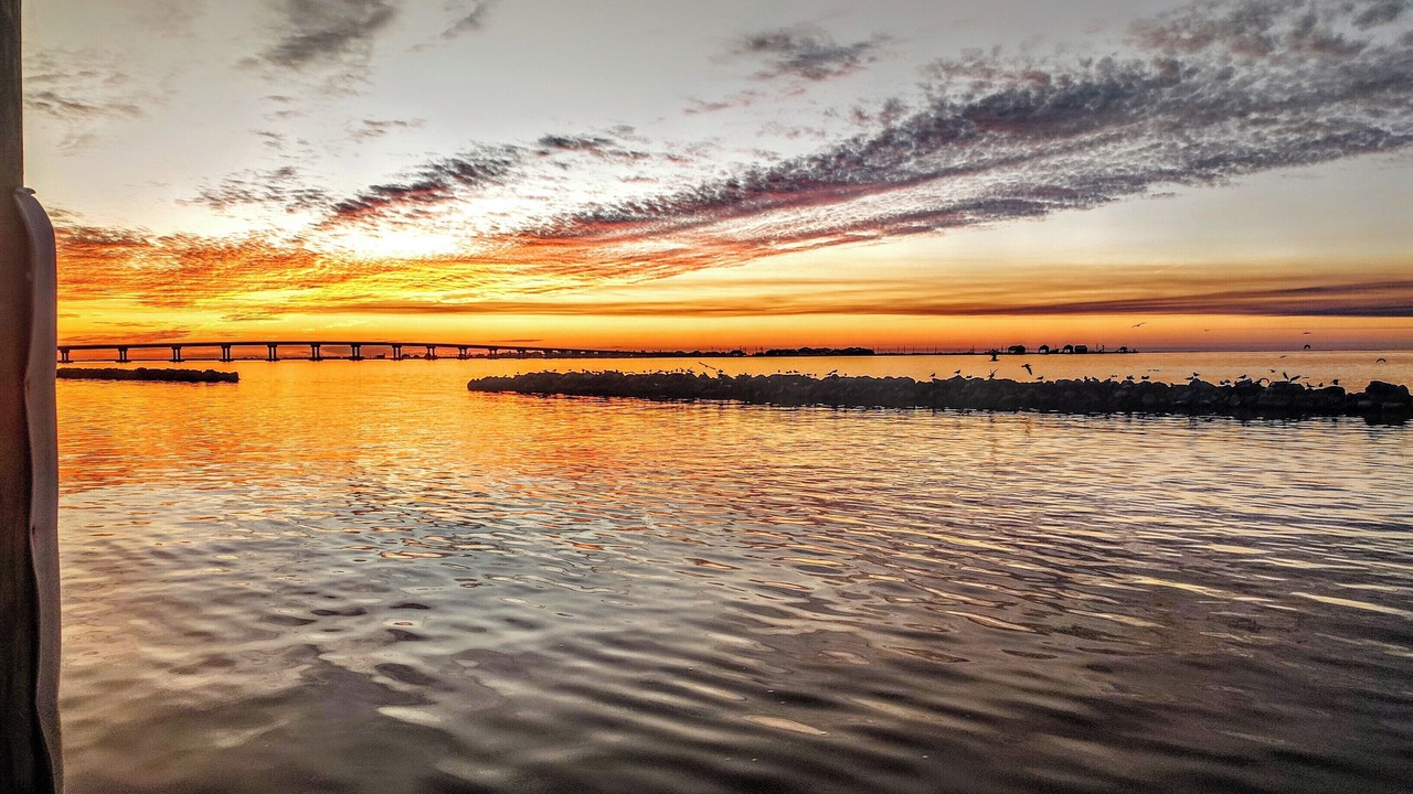Photo of Others in Grand Isle
