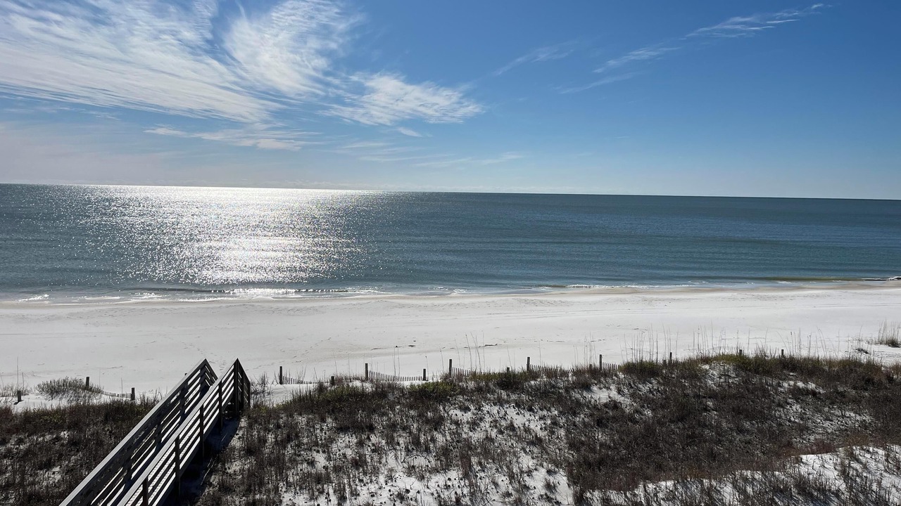 Photo of Others in Mexico Beach