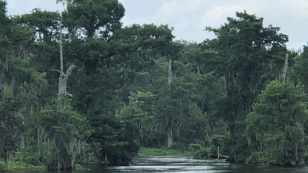 Photo of Others in Perry