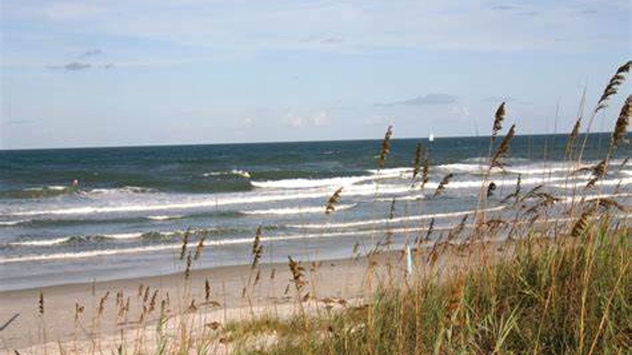Photo of Others in New Smyrna Beach