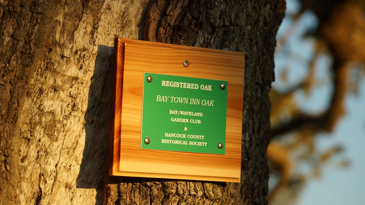 Photo of Outdoor in Old Town