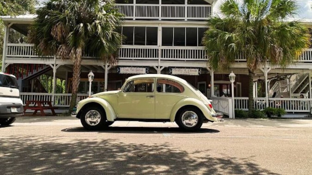 Photo of Outdoor in Micanopy