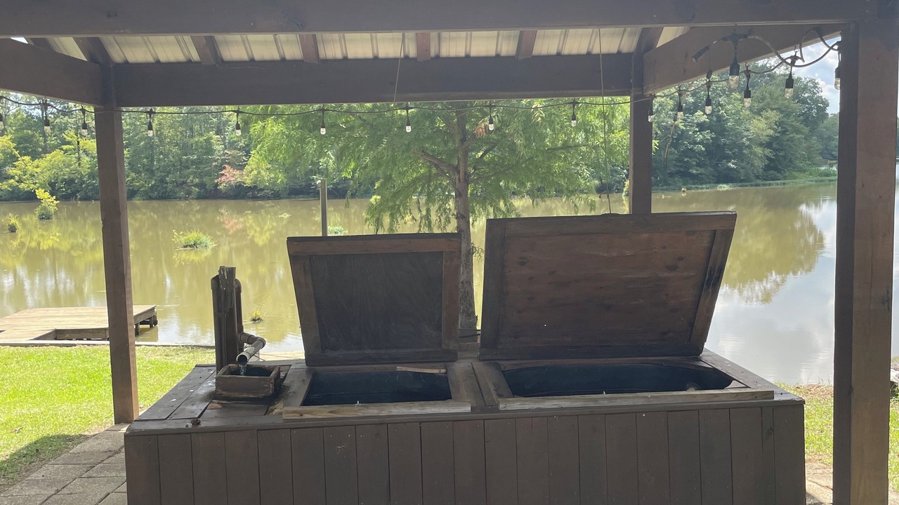 Photo of Outdoor in Aliceville