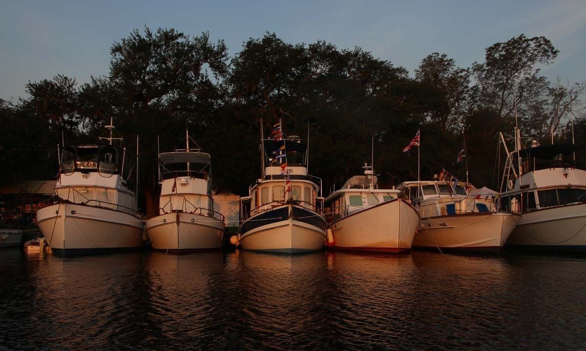 Photo of Others in Mandeville