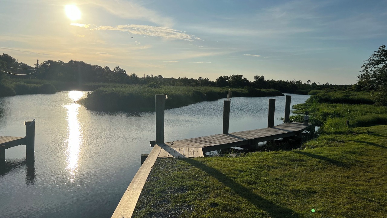 Photo of Others in Shoreline Park