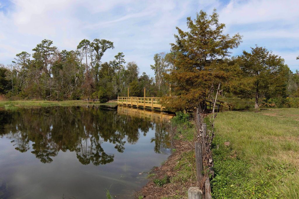 Photo of Outdoor in Dry Creek