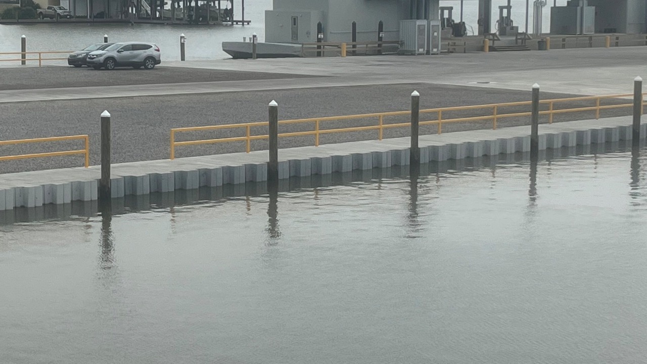 Photo of Others in Cocodrie