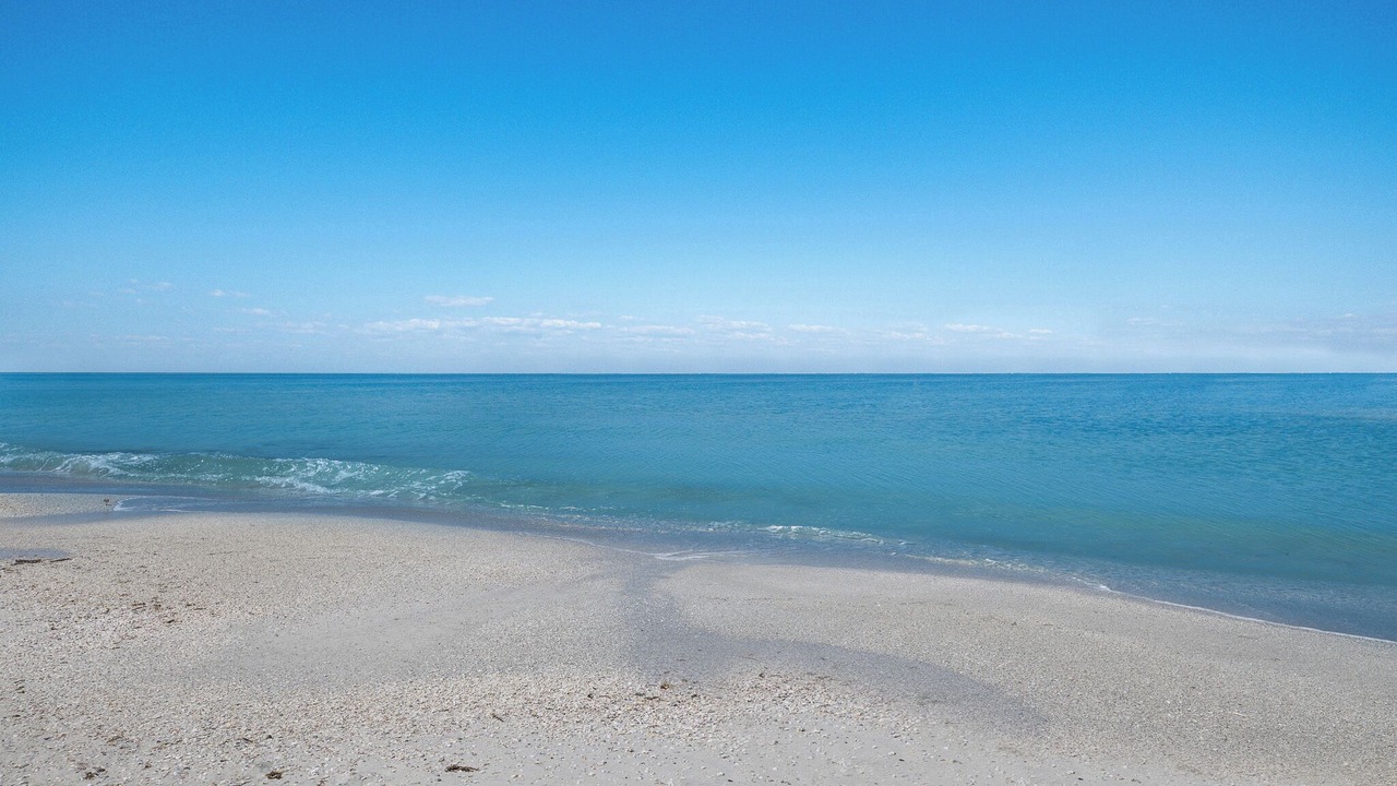 Photo of Others in Bradenton Beach