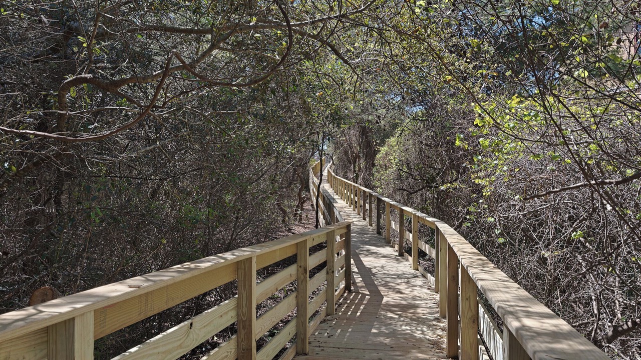 Photo of Outdoor in Santa Rosa Beach