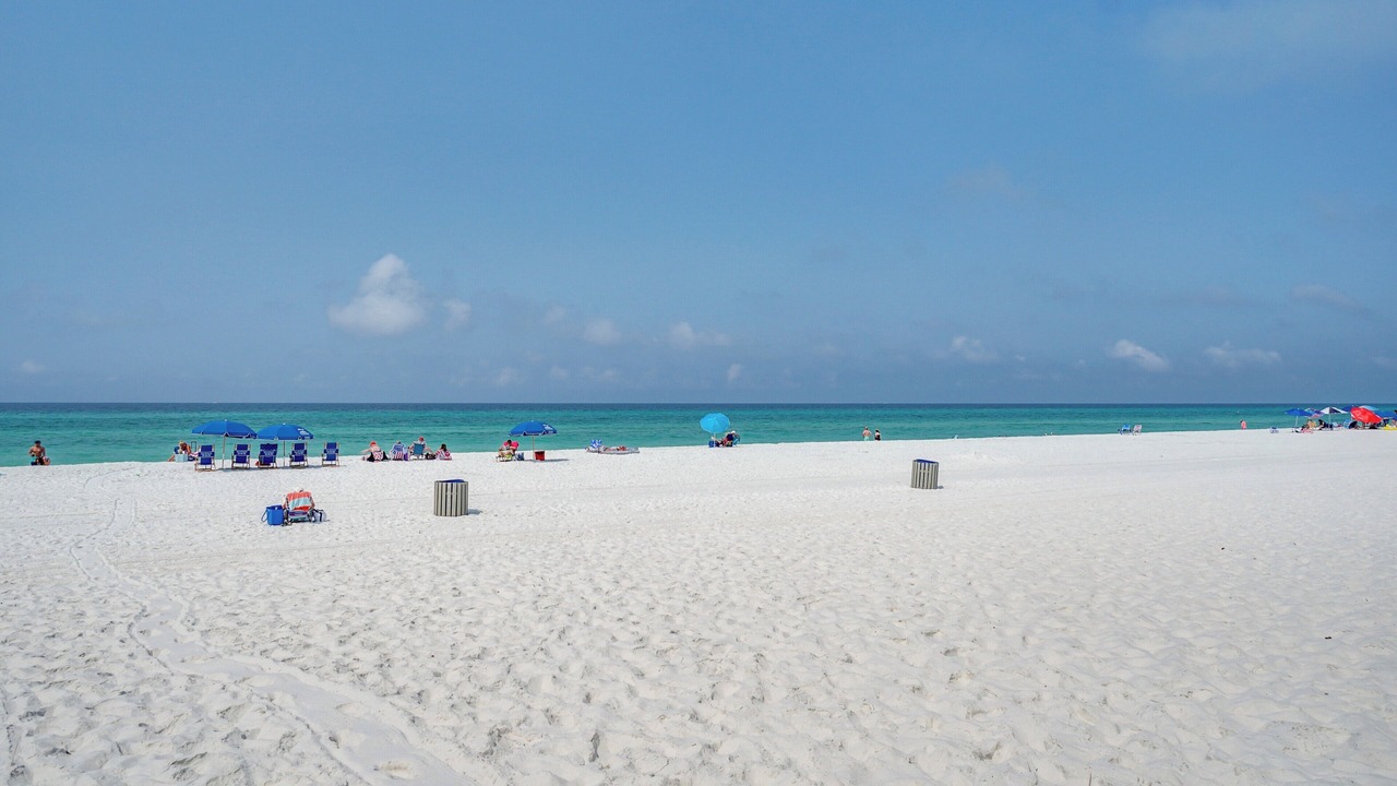 Photo of Others in Biltmore Beach