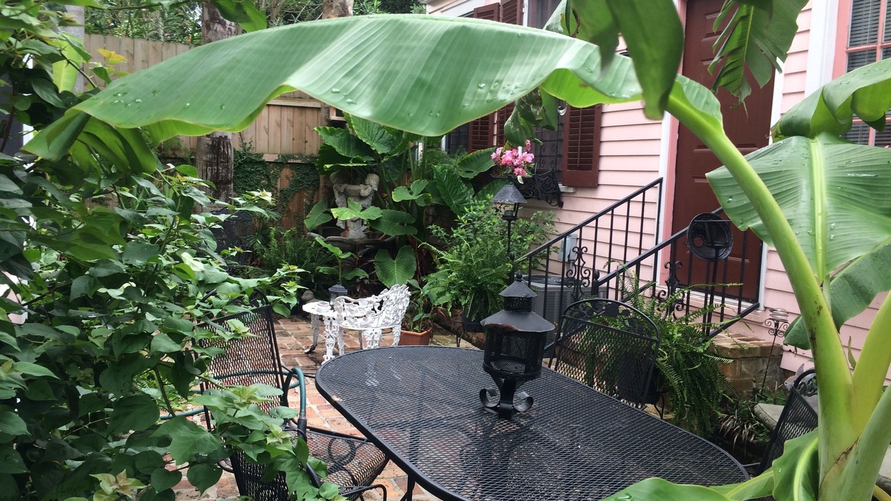Photo of Outdoor in Carrollton