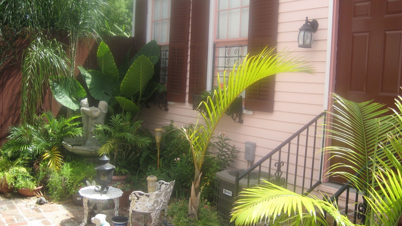 Photo of Outdoor in Carrollton