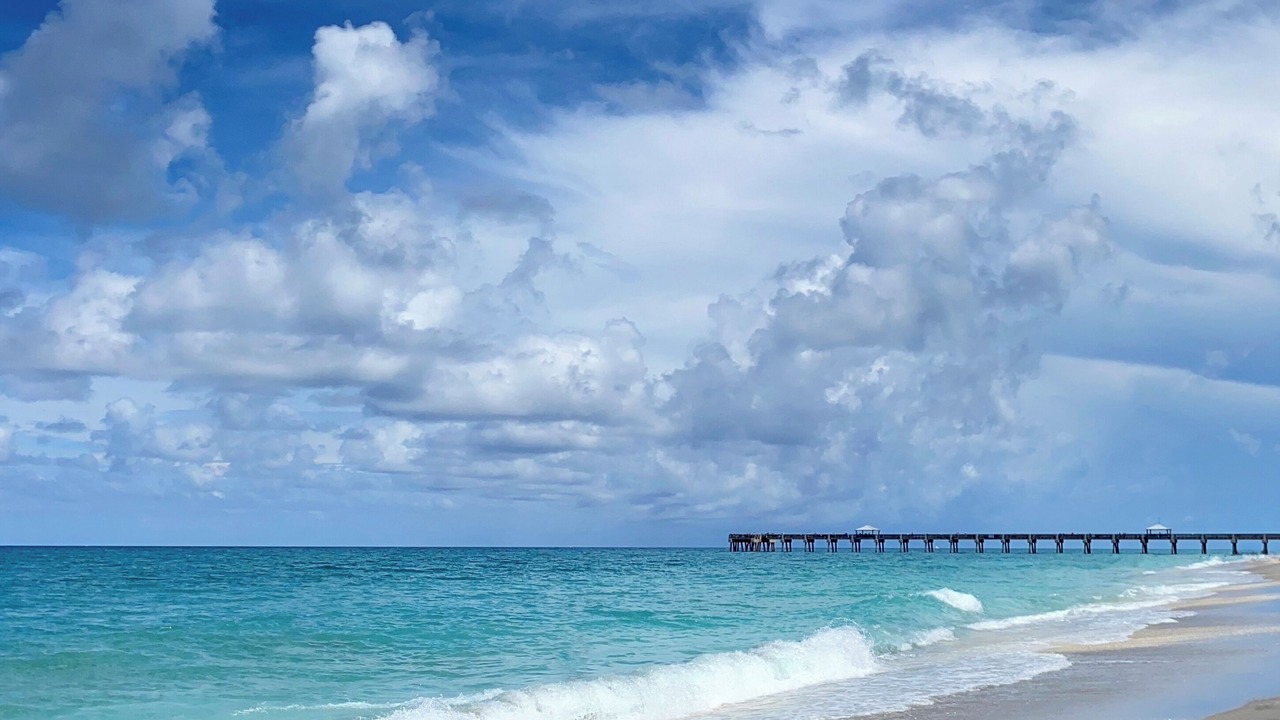 Photo of Others in Jupiter Bay