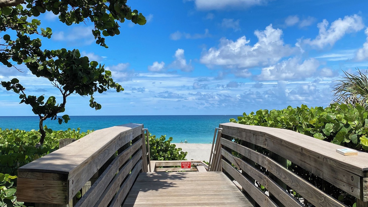 Photo of Outdoor in Jupiter Bay