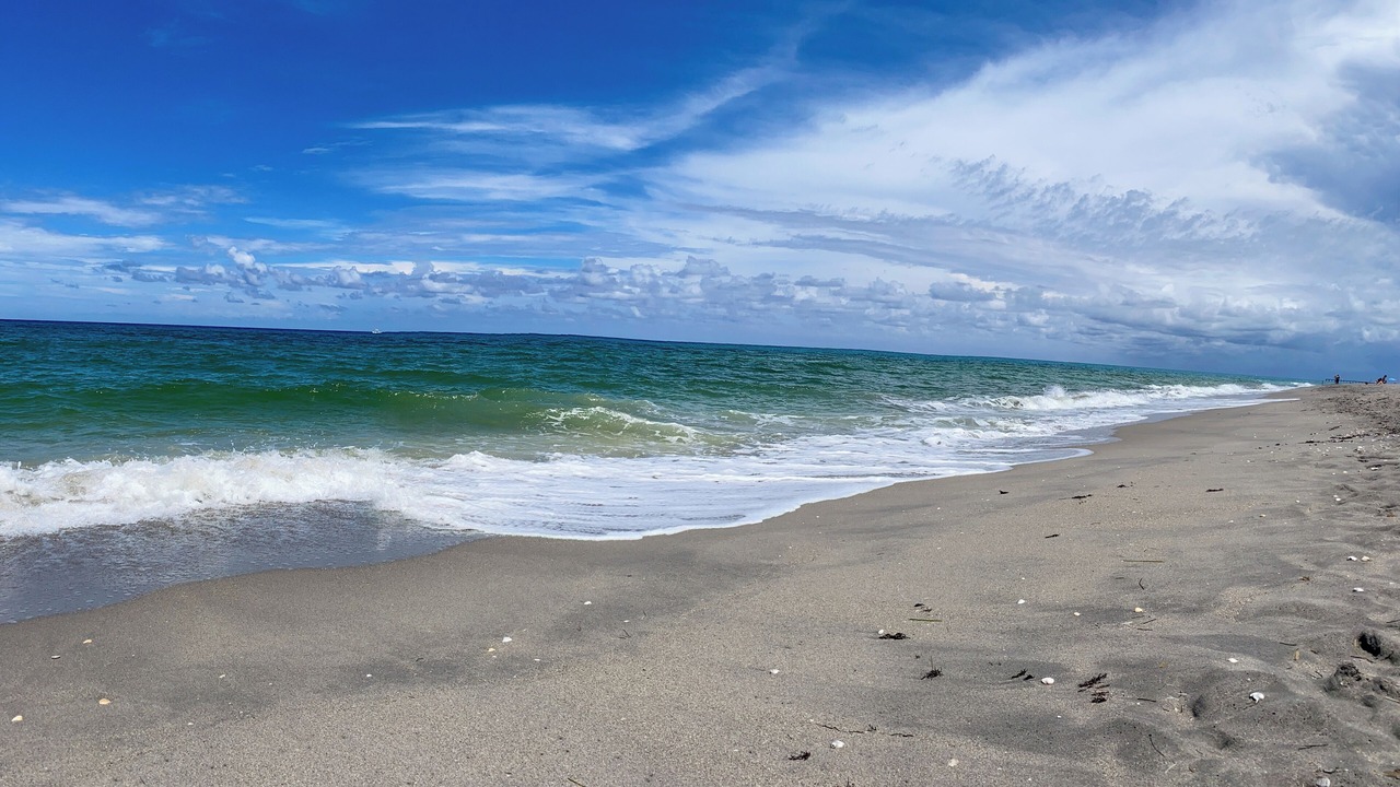 Photo of Others in Jupiter Bay
