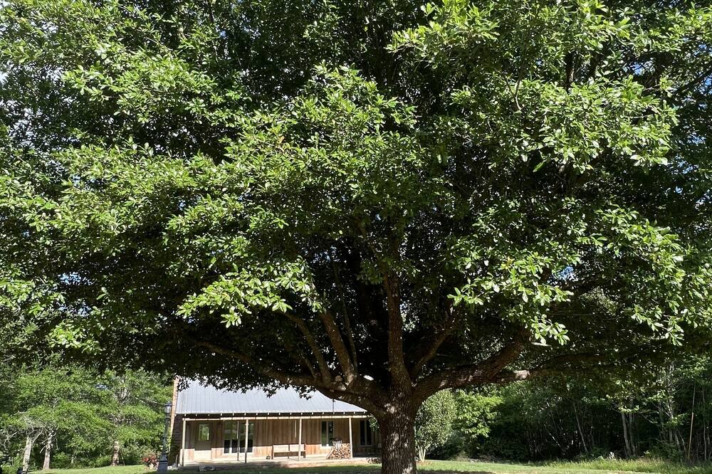 Photo of Outdoor in Ruth
