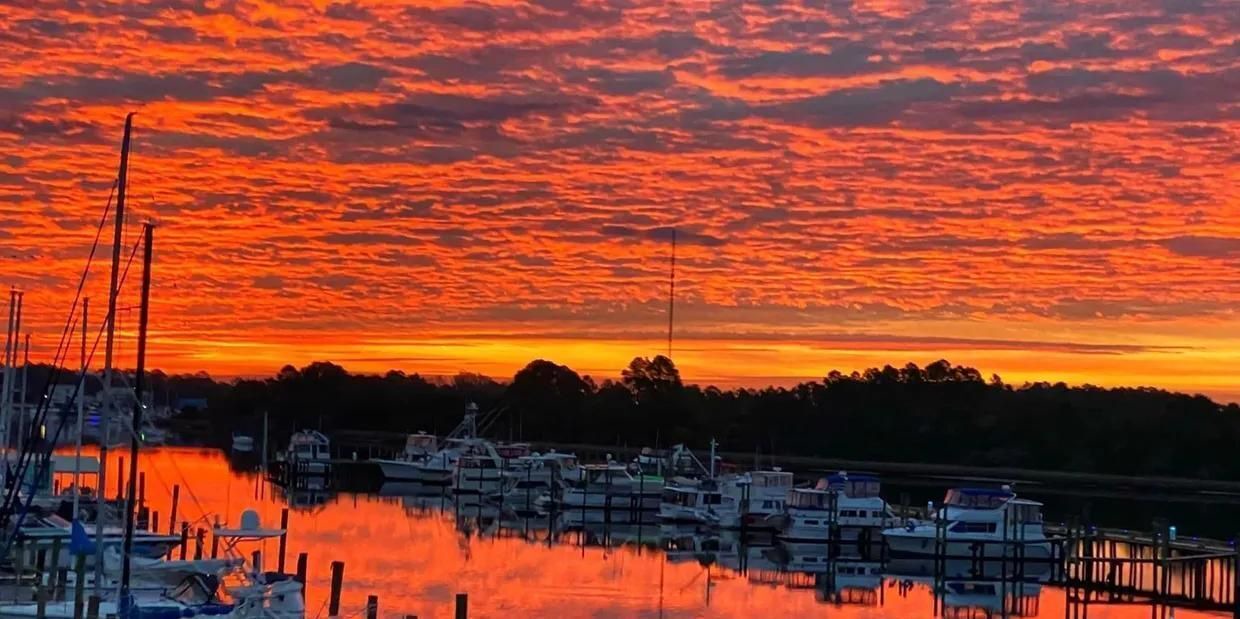 Photo of Outdoor in Carrabelle