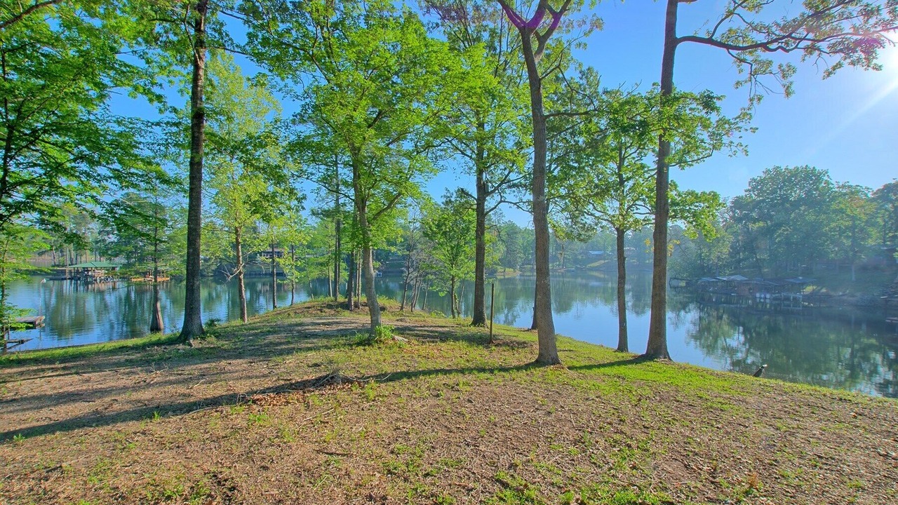 Photo of Outdoor in South Toledo Bend